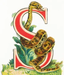 S : Serpent
