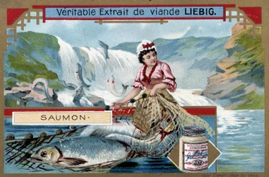 Pêche au saumon - chromo du 19e siècle
