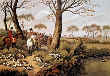 Scène de chasse aux lièvres en Angleterre. Lithographie du 19e siècle Gien, musée de la chasse