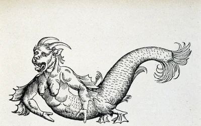 Diable de mer, supposément capturé dans la mer Adriatique au début du 15e siècle - selon Gesner