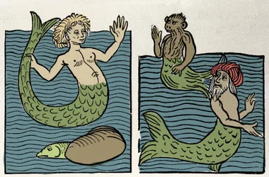 Sirène ou Vierge de la Mer, Singe et Turc de Mer. Gravure de « Hortus sanitatis »