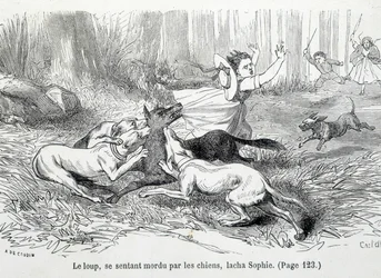 Sophie et le loup - dans « Les Malheurs de Sophie » par la Comtesse de Ségur, Hachette