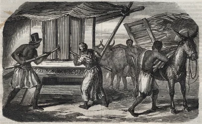 Fabrication du sucre : un moulin à canne à sucre dans une sucrerie aux Antilles. Gravure de 1859.