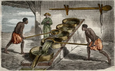 Fabrication du sucre : chaudières pour cuire le jus de canne à sucre dans une sucrerie des Antilles. Gravure de 1859 dans "Le Musée des Sciences".