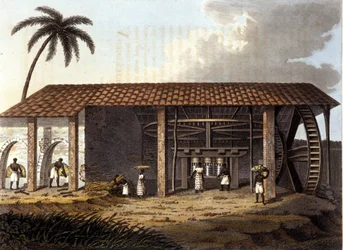 Sucrerie, Antilles