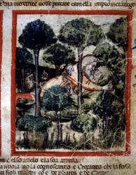 Thamar (Tamar) est possédée par Amnon (Ammon). Miniature tirée du codex 212 (ou padovano codice ou Bible de Padoue) 1390-1400 Rovigo, Accademia dei Concordi