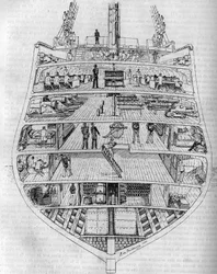 Le « Borda » : coupe transversale du bateau. Dessin de M. L. de Saussure. Gravure dans « Le Journal de la Jeunesse »