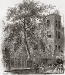 Le platane, Wood Street, Cheapside, Londres, Angleterre au XIXe siècle