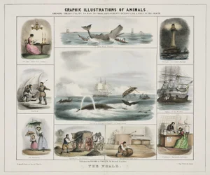 La baleine", vers 1845