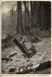 Descente des rapides sur la rivière Nittinaht