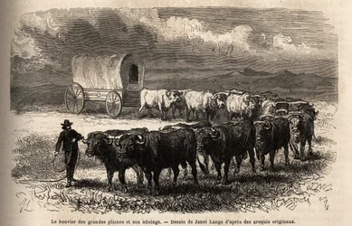 Le grand bœuf des plaines et son attelage. Gravure pour illustrer le voyage au Far West américain, par M. L. Simonin, en 1867, publié dans « Le tour du monde, nouveau journal des voyages »