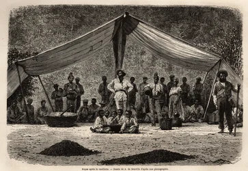 Le repas commun des ouvriers après la récolte des fèves de café, qui sèchent au sol au premier plan ; au centre de l