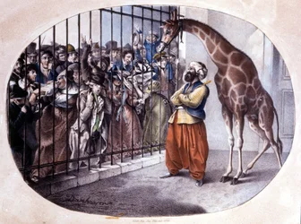 La foule curieuse se précipite pour voir une girafe derrière une porte. Lithographie de Danhaaren. 1829