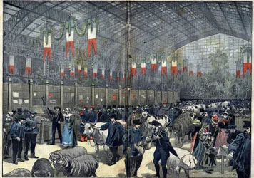 Le concours général agricole de Paris - 14 mars