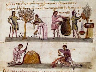 La récolte des olives, la production de miel et l