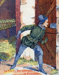 Le fils du roi vit la princesse. Illustration pour « Peau d