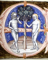 Le péché originel - Miniature