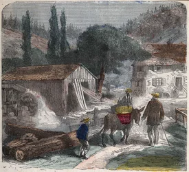 La scierie. Illustration du XIXe siècle. Collection Bianchetti.