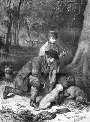 Les truffes. Gravure de 1870.