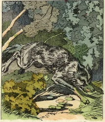 Le loup court vers la maison de Grand-mère. Illustration du conte « Le Petit Chaperon Rouge » de Charles Perrault.
