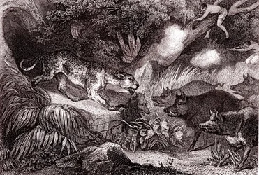 Chasse au tigre dans la forêt amazonienne (gravure)