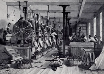 Usine de tabac, buanderie et râpage de tabac. Gravure vers 1867. Paris, Musée Carnavalet