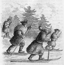 Transport en Laponie : Lapons et leurs patins.