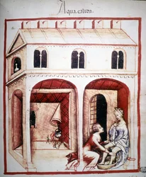Traité de médecine "Tacuinum sanitatis" du 14ème siècle : l