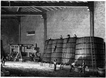Cuves et presse utilisées dans les caves de Bourgogne Clos Vougeot. Gravure du XIXe siècle
