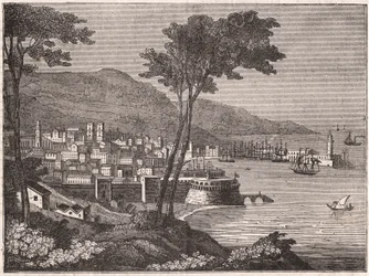 Vue d