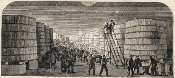 Vue de la cave au Château - Lafitte en 1860