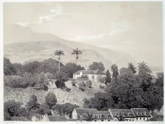 Vue des maisons prises du Boulevard de la Comédie à Saint Pierre en Martinique aux Antilles. Estampe d