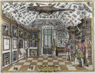 Vue du cabinet de curiosités (musée encyclopédique) du pharmacien Ferrante Imperato (1550 - 1631). Gravure de 1678. Musée de l