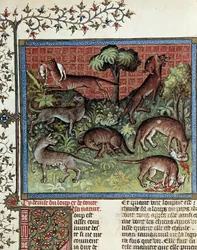 Nous mottons le loup et toute sa nature. Miniature de Gaston Phoebus dit Gaston III Comte De Foix