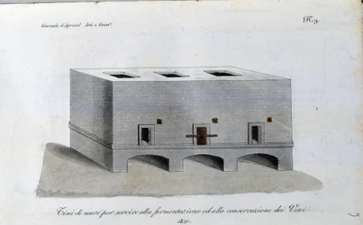 Cuve de fermentation du vin. Planche tirée de « Giornale dell