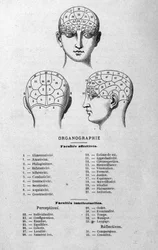 Illustration du livre de Charles Rouvin de 1873 Organographie La Tête humaine, études illustrées de phrénologie et de physionomie appliquées à des personnages célèbres Paris 1873