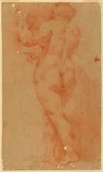 Dessin, Étude à contre-épreuve d