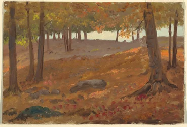 Dessin, Bois en automne, 1870-80