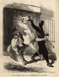 Un spahi sénégalais (cavalier) à Saint-Louis (Saint Louis). Gravure pour illustrer une croisière sur la côte d
