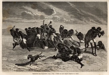 Après avoir pris sa part et celle attribuée au chef de la tribu Hamran, la foule se bat brutalement pour les morceaux restants. Gravure pour illustrer l