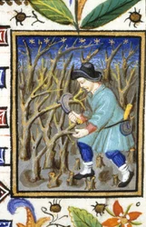 Représentation allégorique de mars. Un homme taillant des arbustes. Miniature d