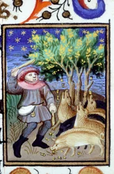 Représentation allégorique de novembre. Un homme avec un groupe de cochons mangeant des glands. Miniature d