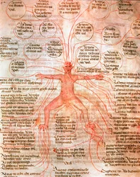 Tableau anatomique illustrant la circulation sanguine Miniature du manuscrit "De surgia" 13e siècle Venise, Biblioteca Marciana