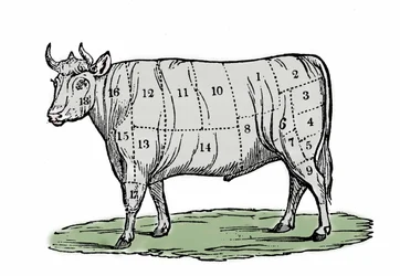 Illustration anonyme de la fin du 19ème siècle.