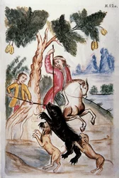 Chasse à l