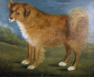 Chien brun dans un paysage, vers 1850