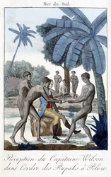 Réception du capitaine Wilson dans l