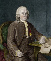 Carl Von Linné, naturaliste et écrivain suédois (1707 - 1778).