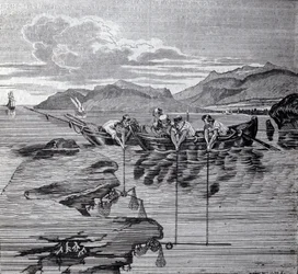 Pêche au corail à l