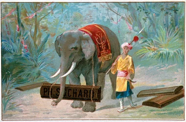 Éléphant et Cornac, publicité "Suchard", v. 1895